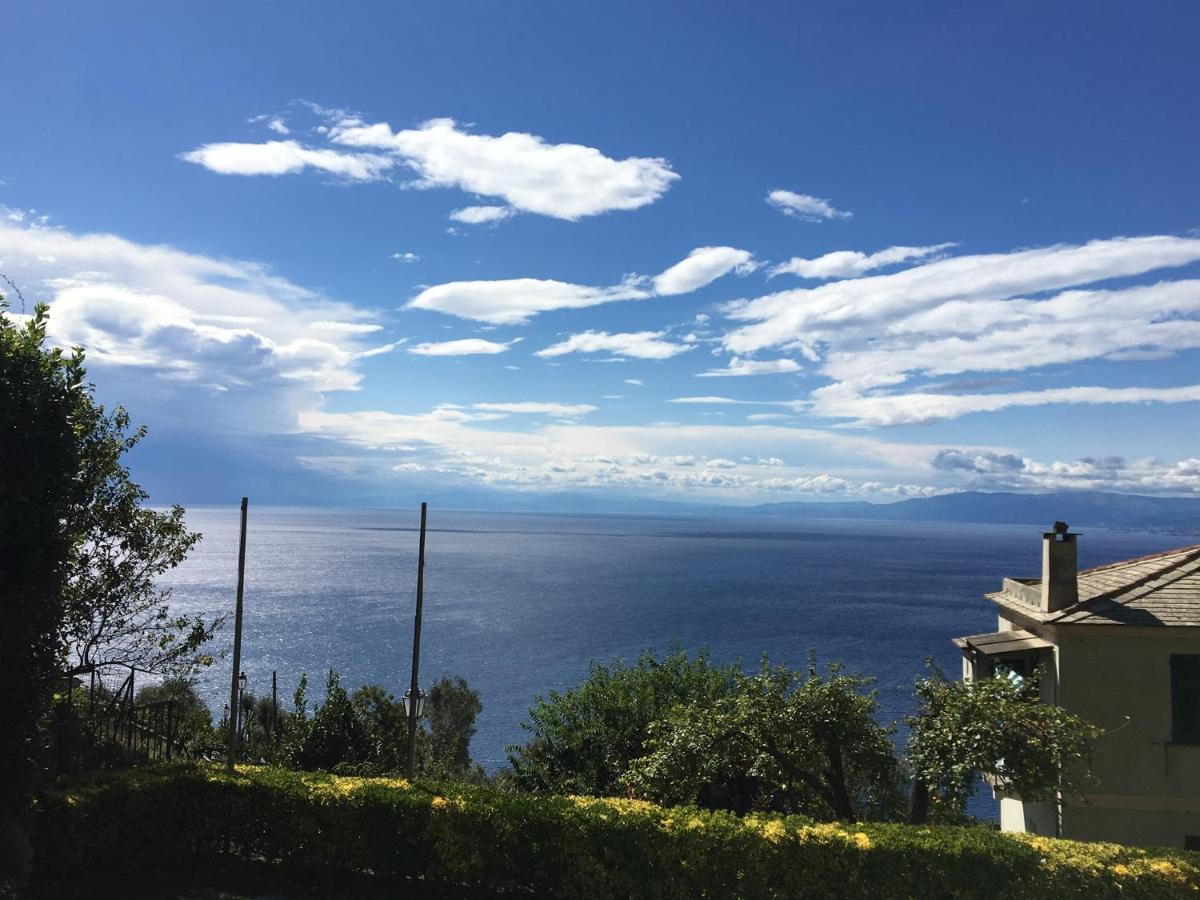 Villa Cielomare Camogli Exterior foto